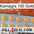Kamagra 100 Gold 43